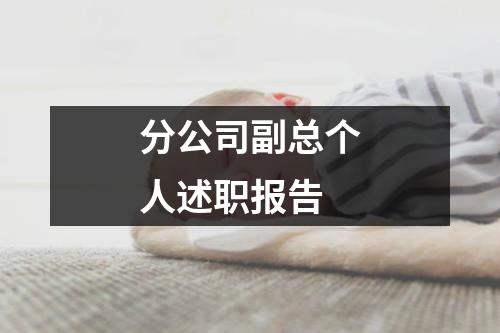 分公司副总个人述职报告