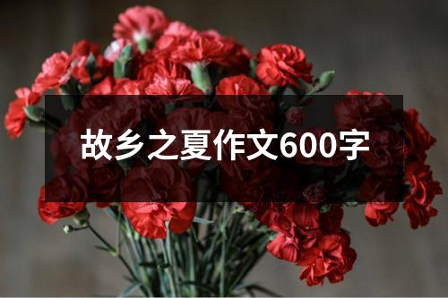 故乡之夏作文600字