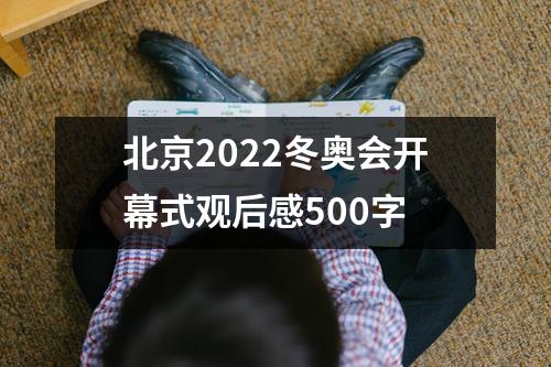 北京2022冬奥会开幕式观后感500字