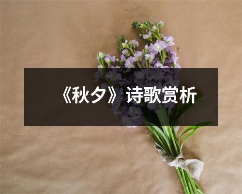 《秋夕》诗歌赏析