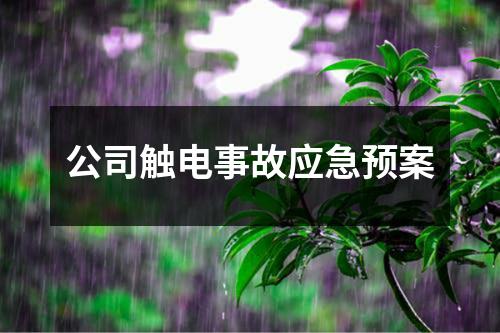 公司触电事故应急预案