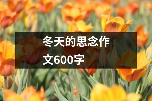 冬天的思念作文600字