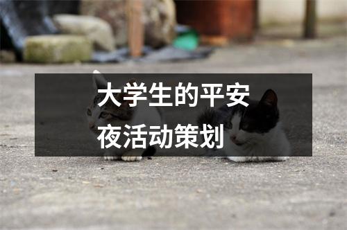 大学生的平安夜活动策划