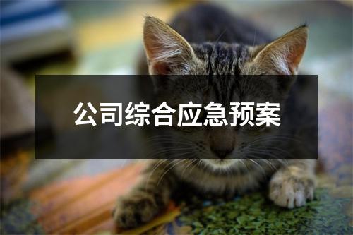 公司综合应急预案