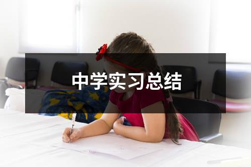 中学实习总结