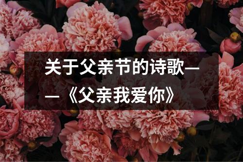 关于父亲节的诗歌——《父亲我爱你》