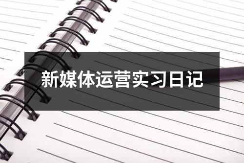 新媒体运营实习日记