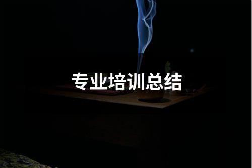 专业培训总结