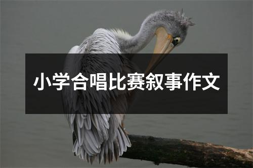 小学合唱比赛叙事作文