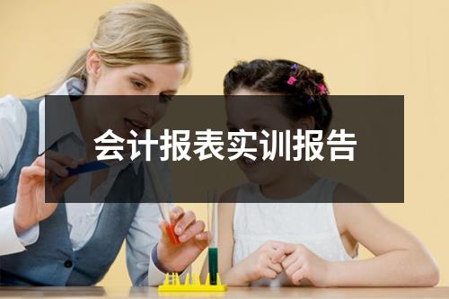 会计报表实训报告