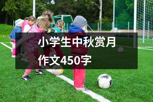 小学生中秋赏月作文450字