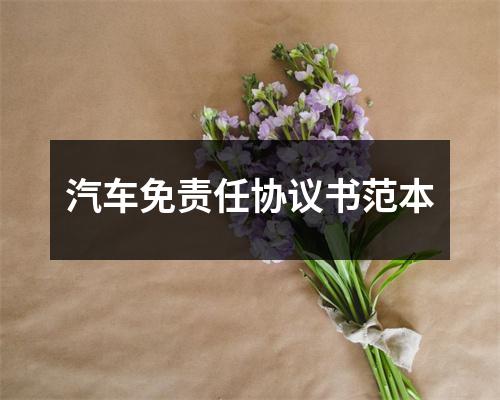 汽车免责任协议书范本