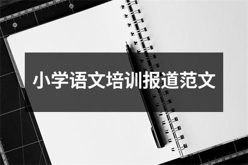 小学语文培训报道范文