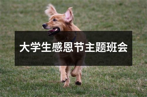 大学生感恩节主题班会