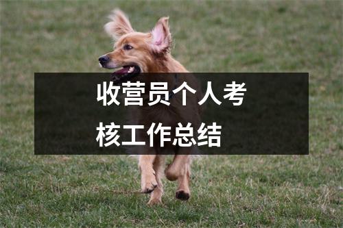 收营员个人考核工作总结