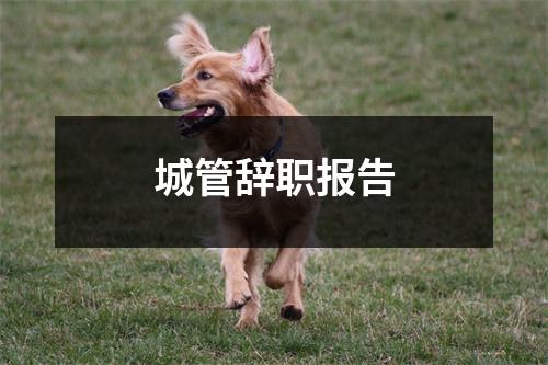 城管辞职报告