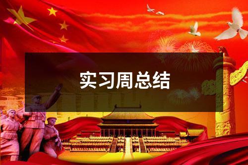 实习周总结