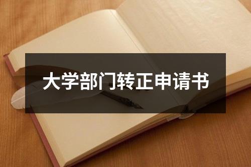 大学部门转正申请书