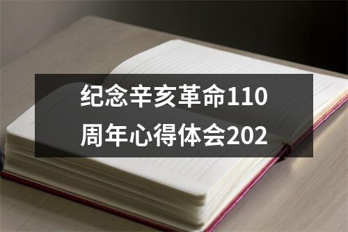 纪念辛亥革命110周年心得体会202