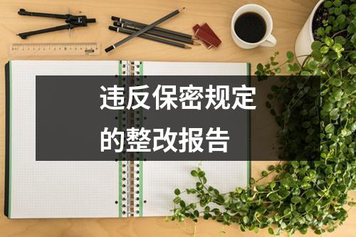 违反保密规定的整改报告