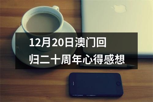 12月20日澳门回归二十周年心得感想