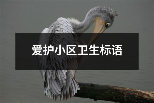 爱护小区卫生标语