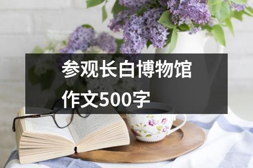 参观长白博物馆作文500字