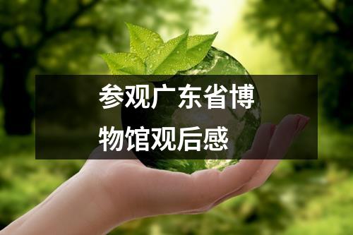 参观广东省博物馆观后感